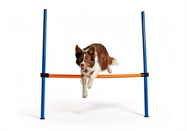 TRIXIE Dog Agility Jump Adjustable Crossbar Training-1