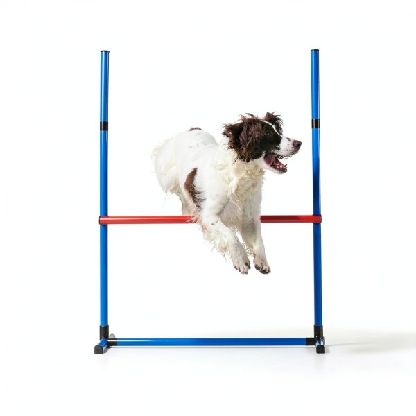 VEVOR Dog Agility Training Set PVC Jumps Weave Poles-7