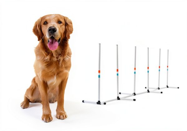 Aosom Dog Agility Weave Poles Adjustable Portable Training-5