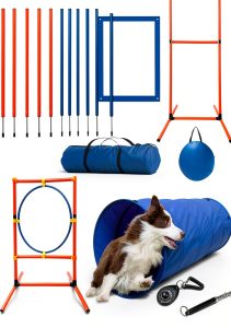 Kvittra Dog Agility Training Set ABS Material Lightweight-0