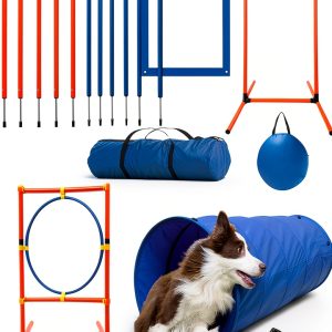 Kvittra Dog Agility Training Set ABS Material Lightweight-0