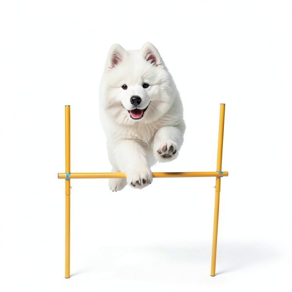 Generic Dog Agility Weave Poles Set Training Equipment-4