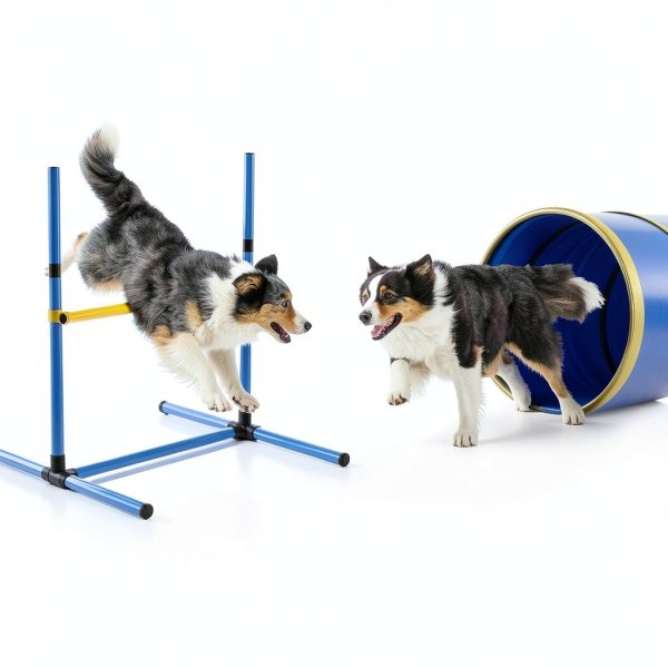 Mighty Equipped Dog Agility Course Set Sturdy Portable-4