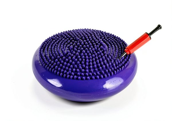 Anicuta Purple Dog Balance Disc Rehabilitation Training Tool-3