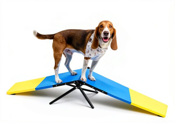 Hoffco Dog Agility Seesaw Training Equipment for Small-4