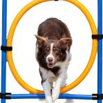 TRIXIE Dog Agility Ring Adjustable Jump Training Equipment-0