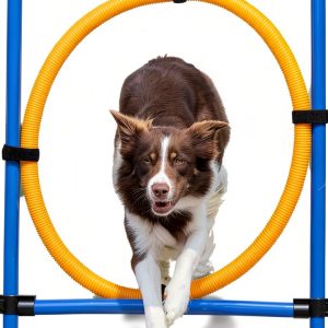 TRIXIE Dog Agility Ring Adjustable Jump Training Equipment-0