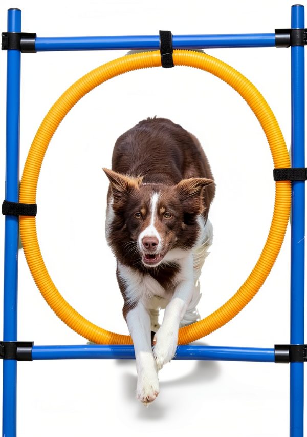 TRIXIE Dog Agility Ring Adjustable Jump Training Equipment-0