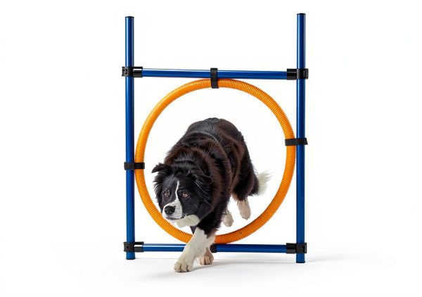 TRIXIE Dog Agility Ring Adjustable Jump Training Equipment-1
