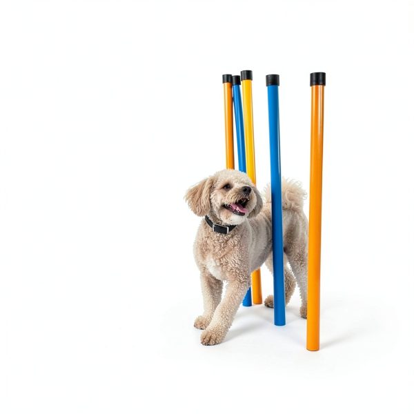 Petcove Dog Agility Course Adjustable Obstacles Training Set-3
