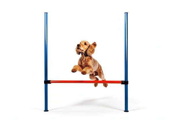 TRIXIE Dog Agility Jump Adjustable Crossbar Training-4