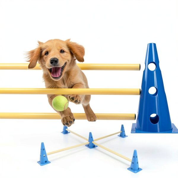 GeerDuo Dog Agility Hurdle Cone Set Adjustable Heights-4