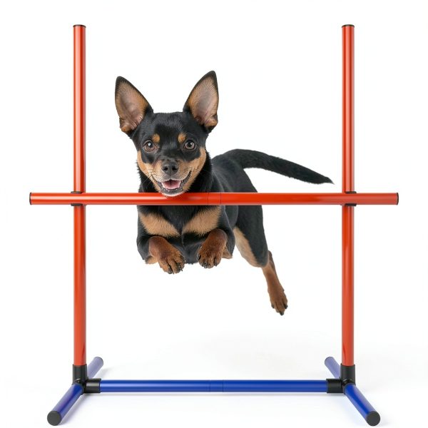 Generic Dog Agility Jump Adjustable Training Equipment Set-1