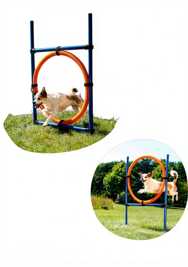 TRIXIE Dog Agility Ring Adjustable Jump Training Equipment-3
