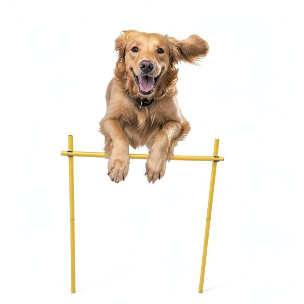 Generic Dog Agility Weave Poles Set Training Equipment-3
