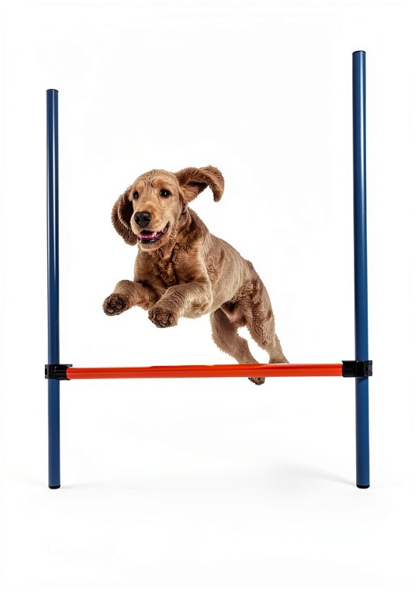 TRIXIE Dog Agility Jump Adjustable Crossbar Training-2