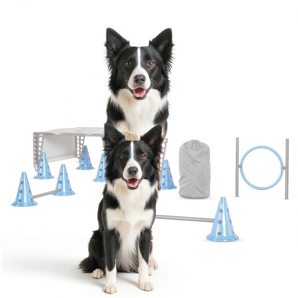 BARKQUET Dog Agility Course Backyard Set Training Play-5