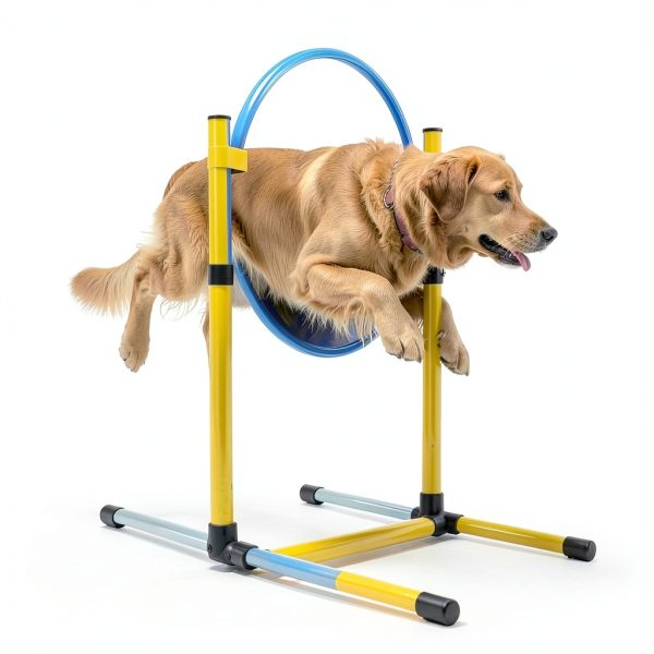 Mighty Equipped Dog Agility Course Set Sturdy Portable-2