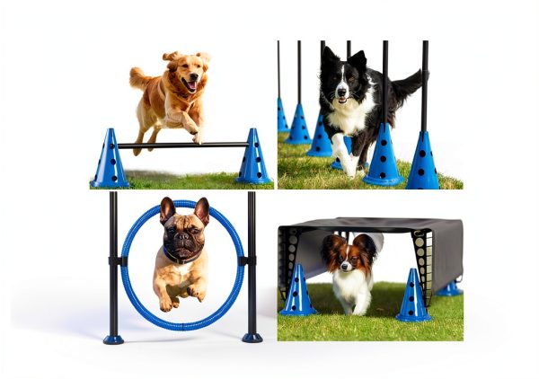 BARKQUET Dog Agility Course Backyard Set Training Play-2