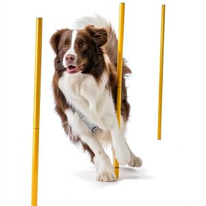 Generic Dog Agility Weave Poles Set Training Equipment-0