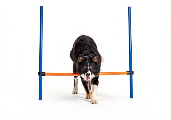 TRIXIE Dog Agility Jump Adjustable Crossbar Training-5