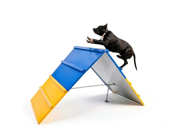 CINTHY Dog Agility A-Frame Solid Wood Adjustable Height-2
