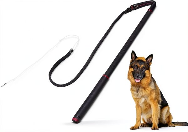 Pssopp Dog Training Whip Sturdy Handle Interactive Pet Toy-6