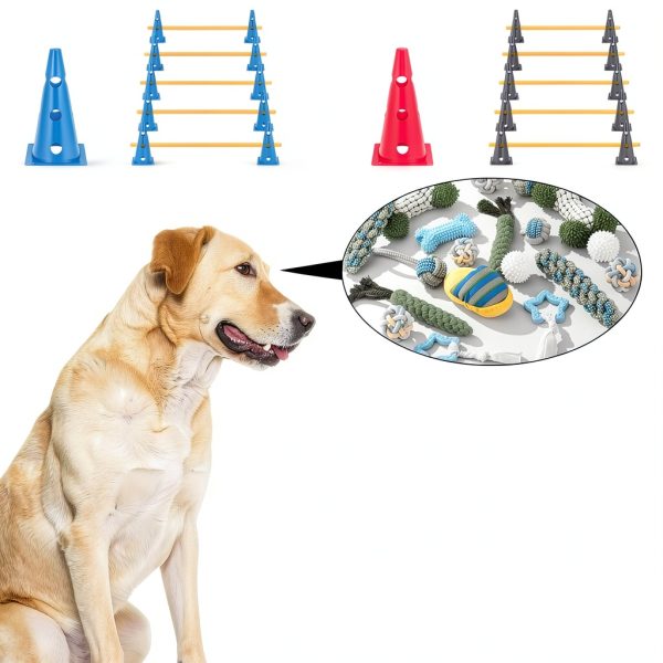HFYZZ Dog Agility Jump Adjustable Training Obstacle Set-3