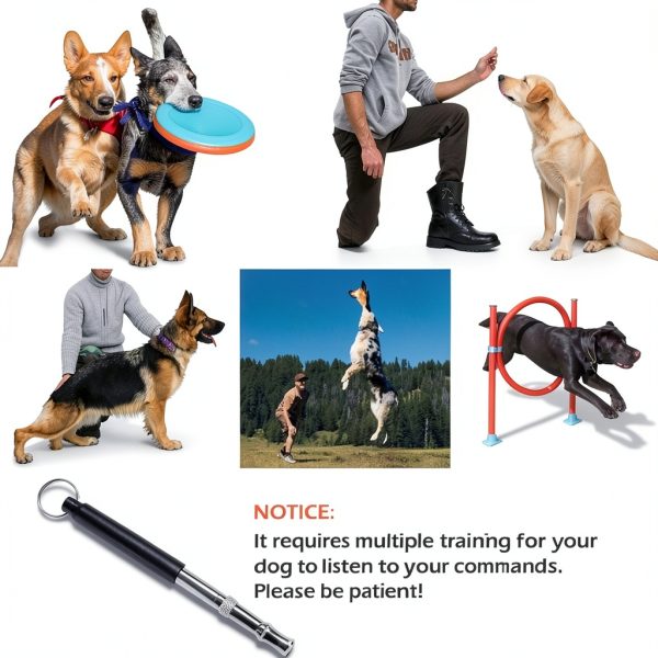Kvittra Dog Agility Training Set ABS Material Lightweight-4
