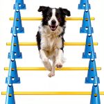 HFYZZ Dog Agility Jump Adjustable Training Obstacle Set-0