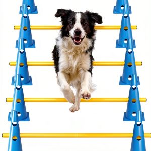 HFYZZ Dog Agility Jump Adjustable Training Obstacle Set-0