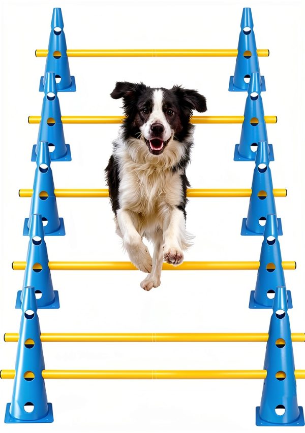 HFYZZ Dog Agility Jump Adjustable Training Obstacle Set-0