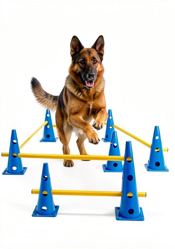 HFYZZ Dog Agility Jump Adjustable Training Obstacle Set-6