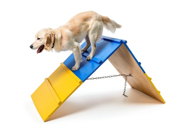 CINTHY Dog Agility A-Frame Solid Wood Adjustable Height-4