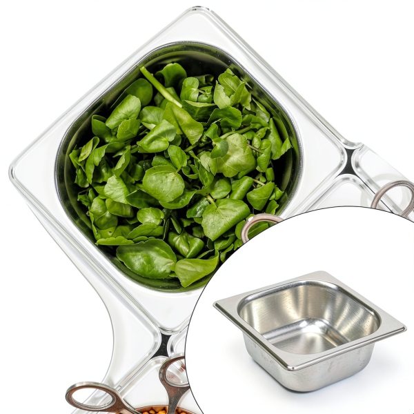 Steam Table Pan SHEUTSAN 6 Piece 1/6 Size Stainless Steel Deep Pan-6